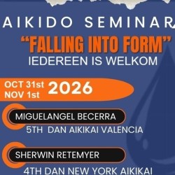 Aikido seminar 'Falling into Form'