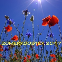 Zomerrooster en -locatie 2017