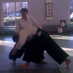 Aikido - Mimuro Sensei (7th dan)