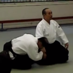 Aikido - Shimamoto Shihan (8th dan)