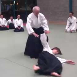 Aikido - Tony Smibert Shihan (7th dan)
